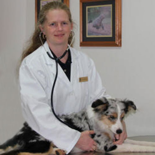 A veterinarian with long hair, wearing a white coat and stethoscope, examines a black and white dog on a table. The dog lies calmly as the vet tends to it. Two framed pictures hang on the wall in the background.